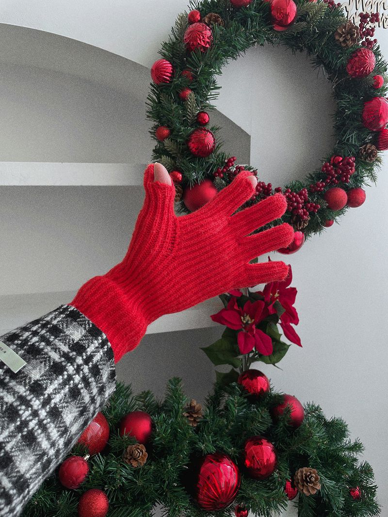 ASCLO Winter Glove (5color)