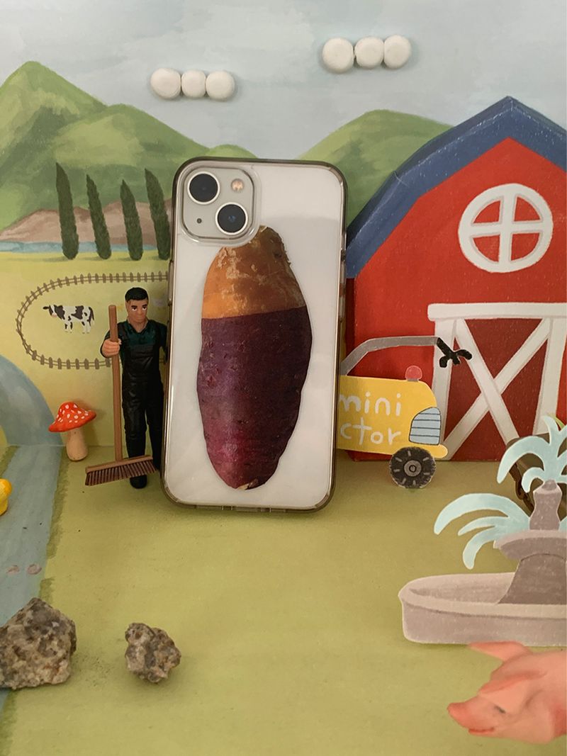 Sweet potato case - Matt hard