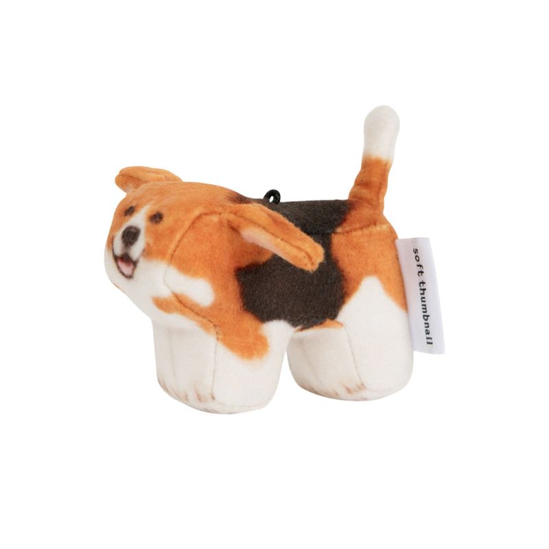 Tori, Beagle