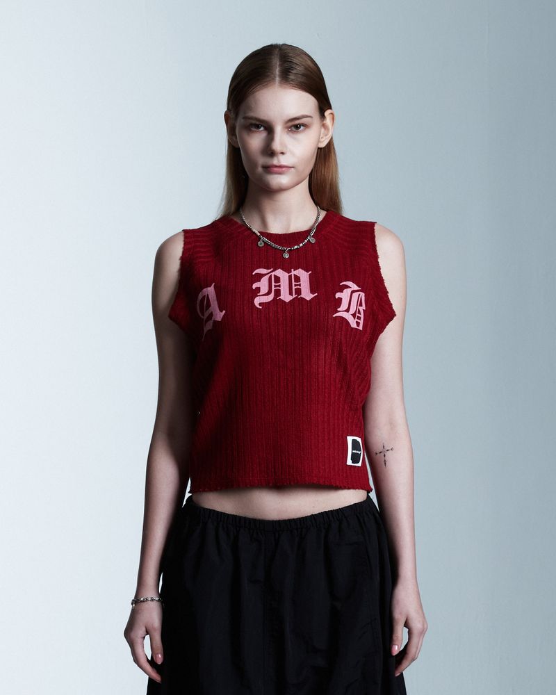 AAMBITION（アアンビション）の「AMBロゴスリーブレス(Red)（トップス）」