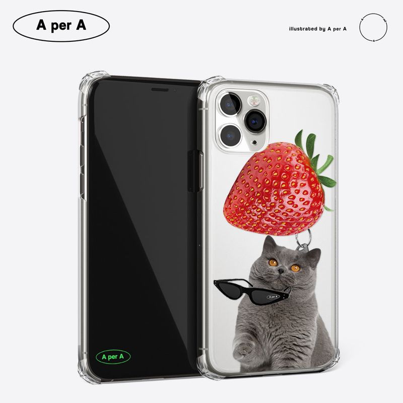 Big strawberry gray cat