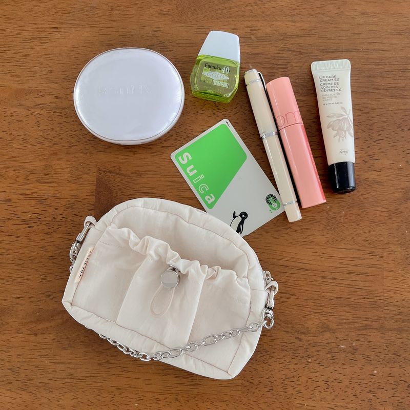 Card Wallet Mini Chain Bag-IVORY