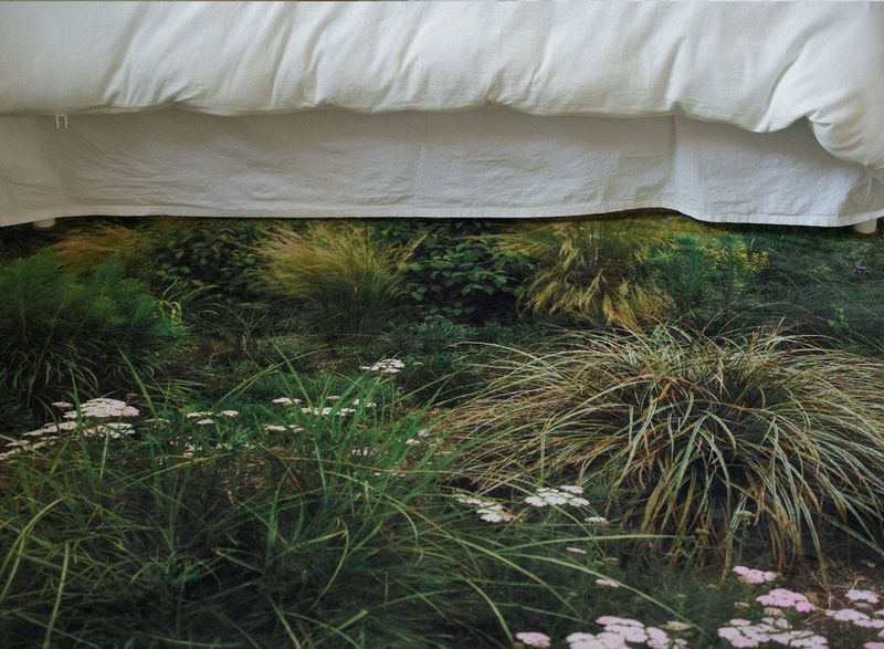 Hidden grove rug