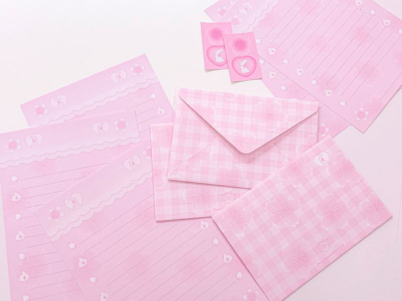 Cherry blossom rabbit ♡ letter set