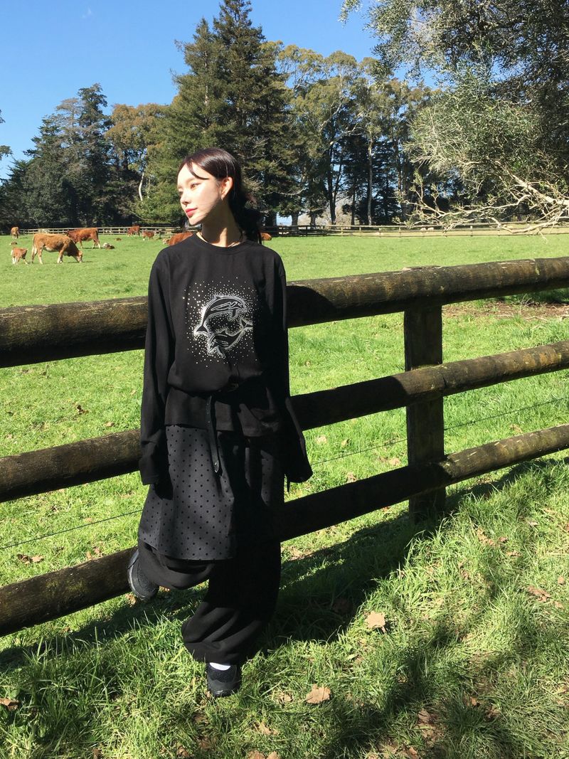 Hotfix Dolphin Loose Long Sleeve (2c)