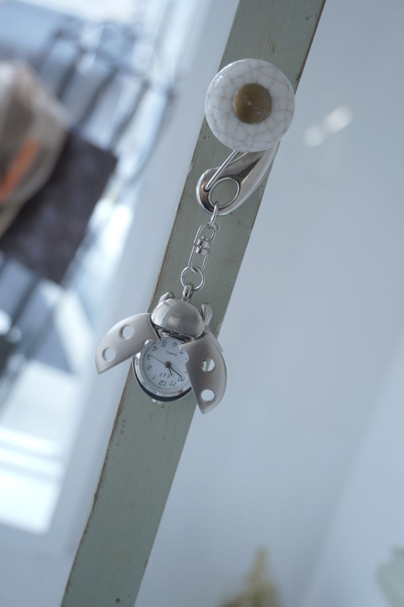 Ladybug Keyring