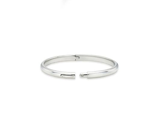 26SS★ [Premium Plating] Essence AB(W) Metal Slim Bangle
