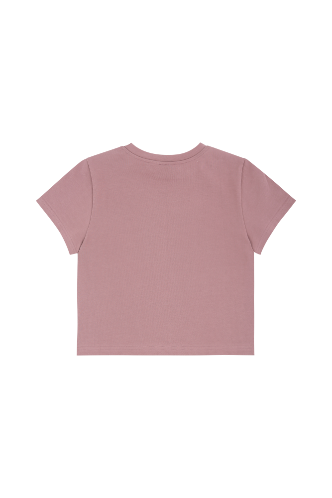 Dust pink rock band crop t-shirts