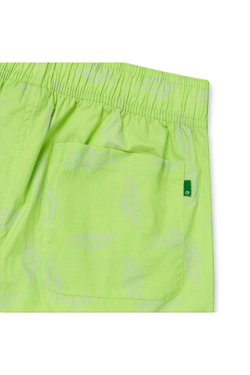 FLIP Trunk_Lime