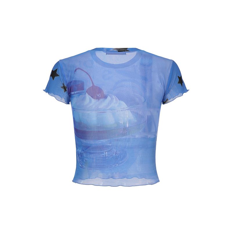 2D Angel Mesh Top