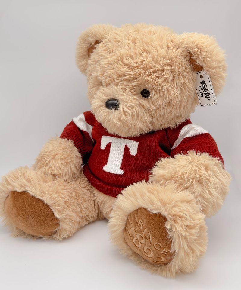 43cm Classic Teddybear [RED SWEATER]