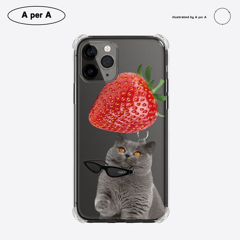 Big strawberry gray cat