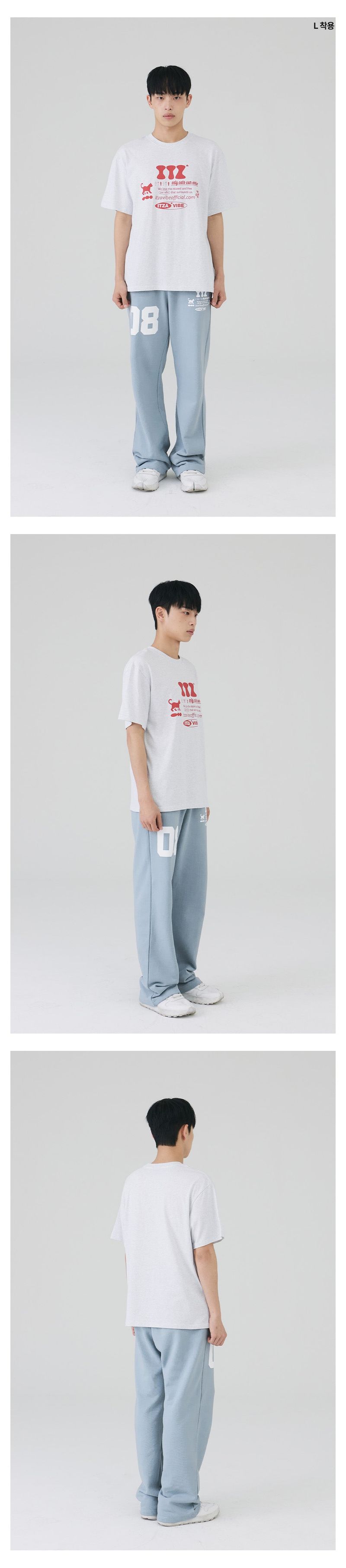 ITZ OFFICIAL LOGO T SHIRT - LIGHT GRAY