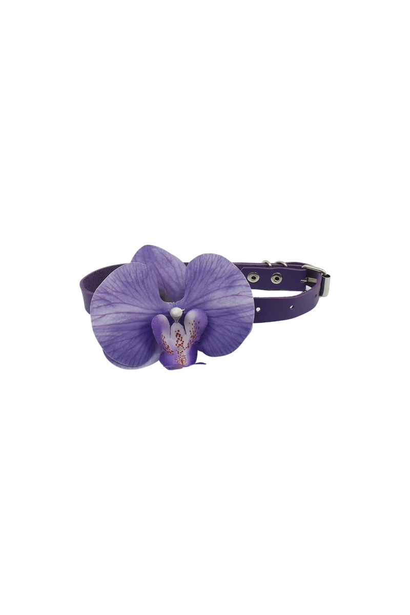 [春] - Phalaenopsis choker (4color)