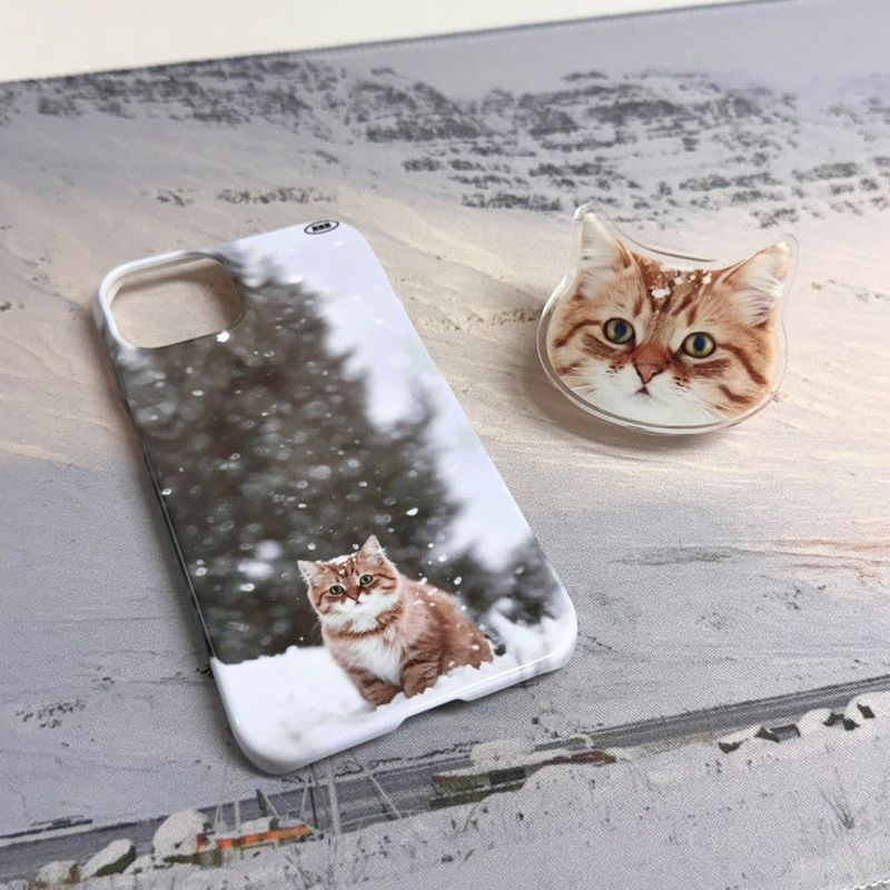 [Magsafe Smart Talk] CAT 02