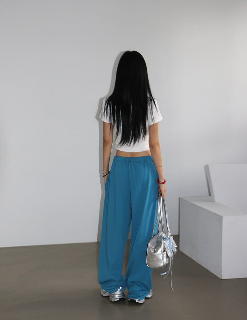 6 color twinkle wide pants