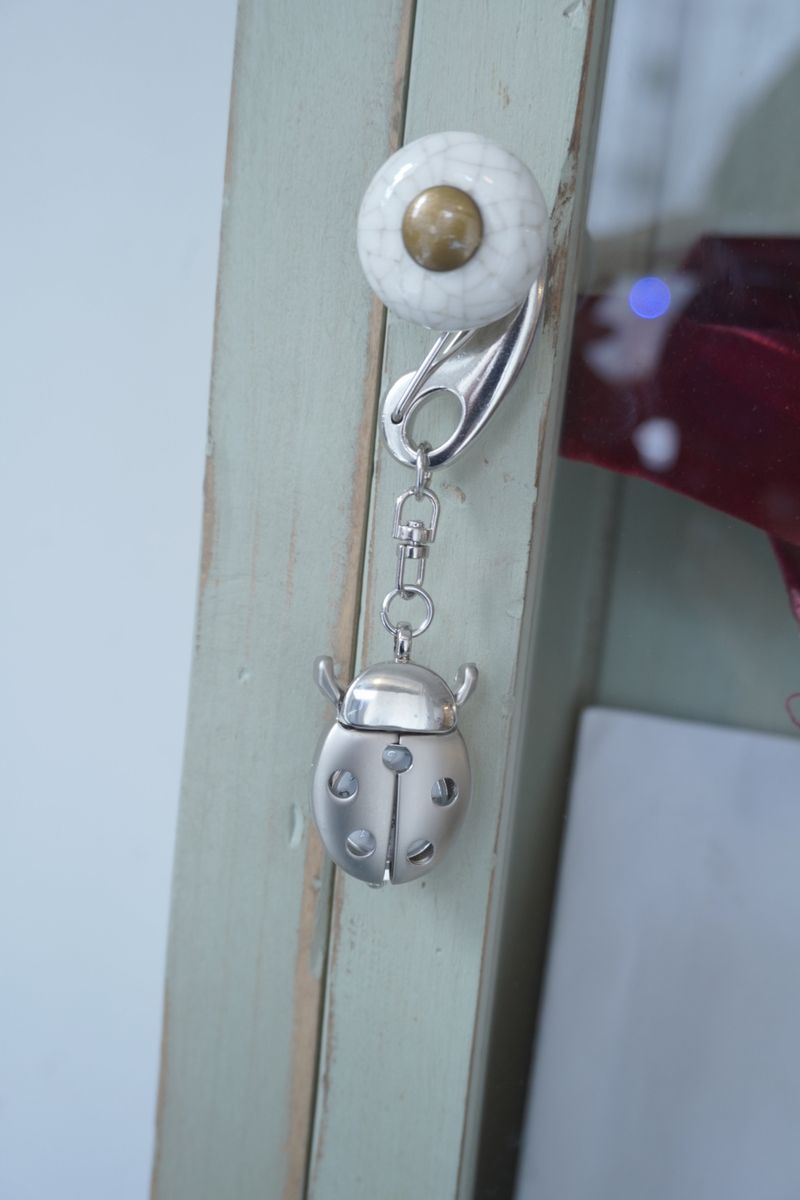 Ladybug Keyring