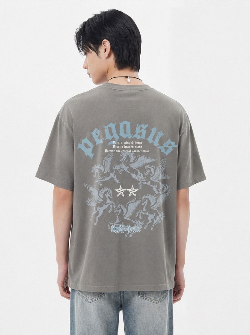 pegasus pigment-dyed short-sleeve t-shirt (3color)