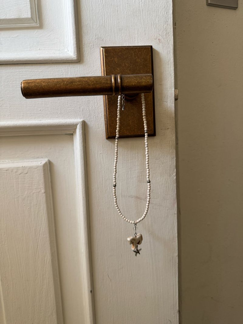 Pony Necklace (Surgical Steel)
