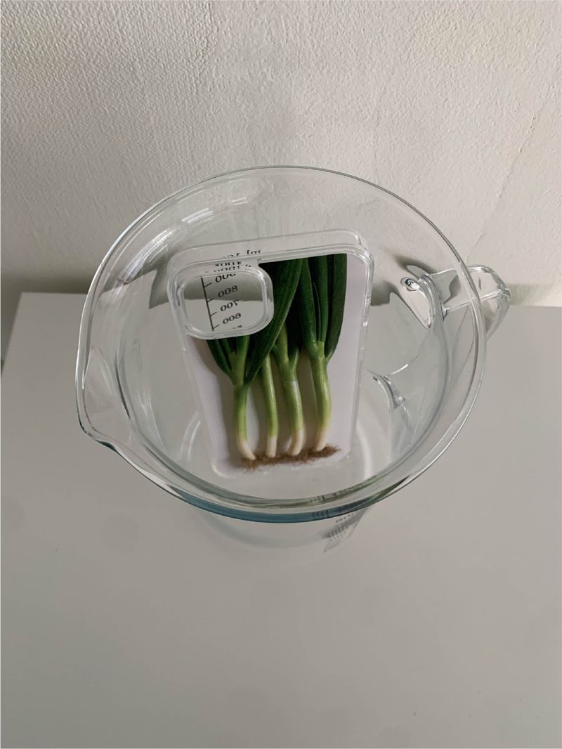 Leek case - jelly hard