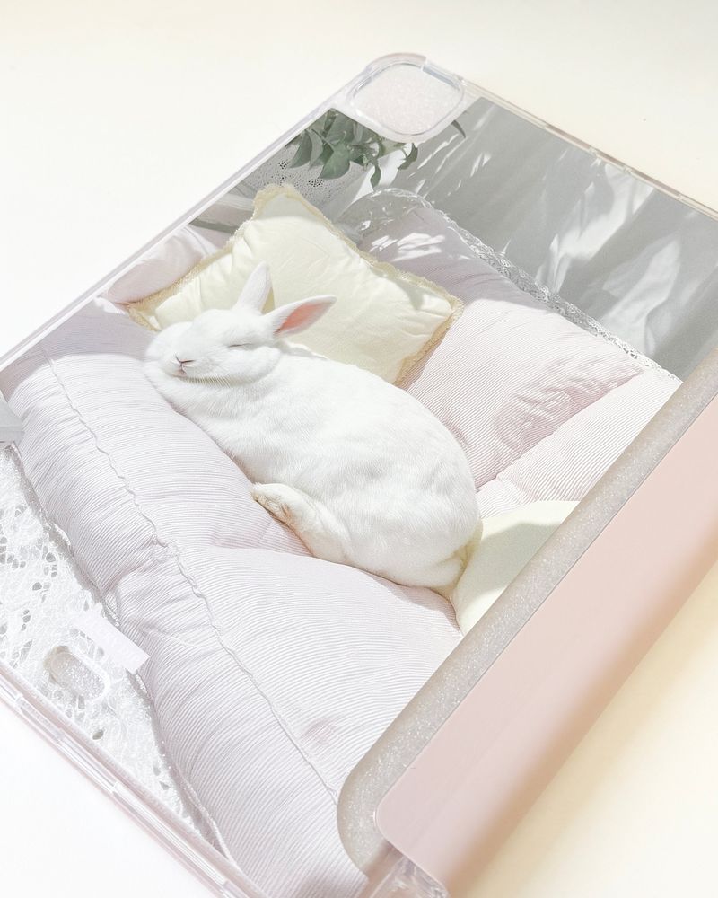 A Nap Rabbit Ipad case