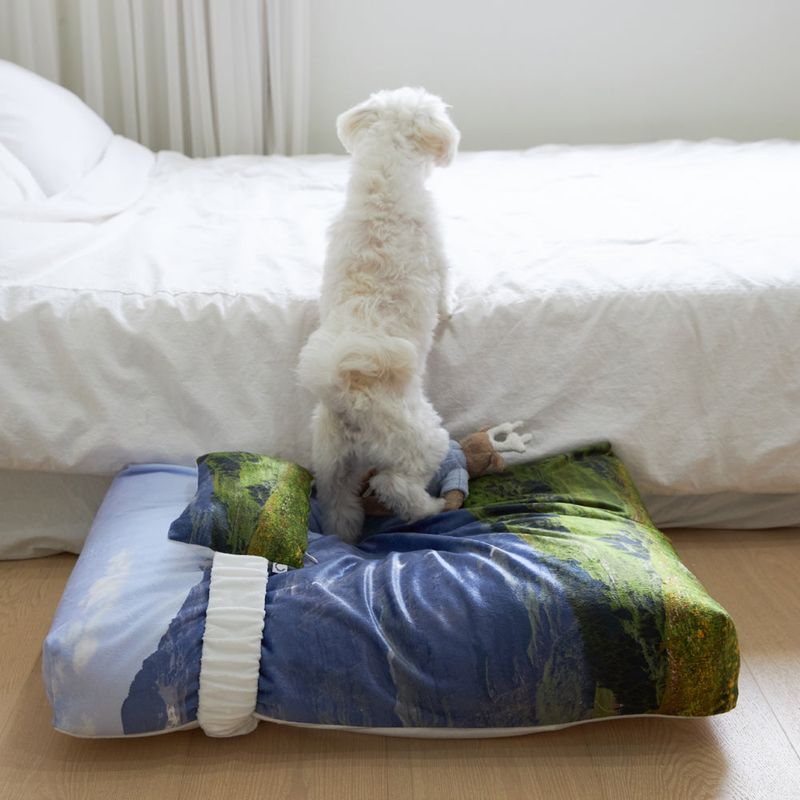 photozeniagoods（フォトゼニアグッズ）の「Swiss enjoy pet cushion + cover set（Smartphone Accessories）」