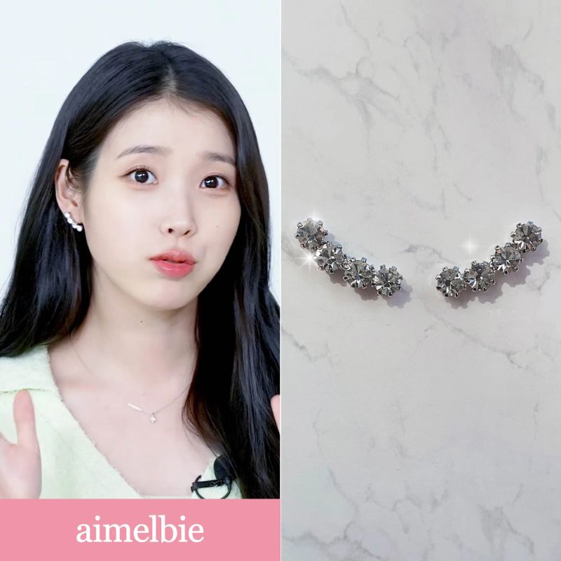 Simple Wing Earring - Silver Color