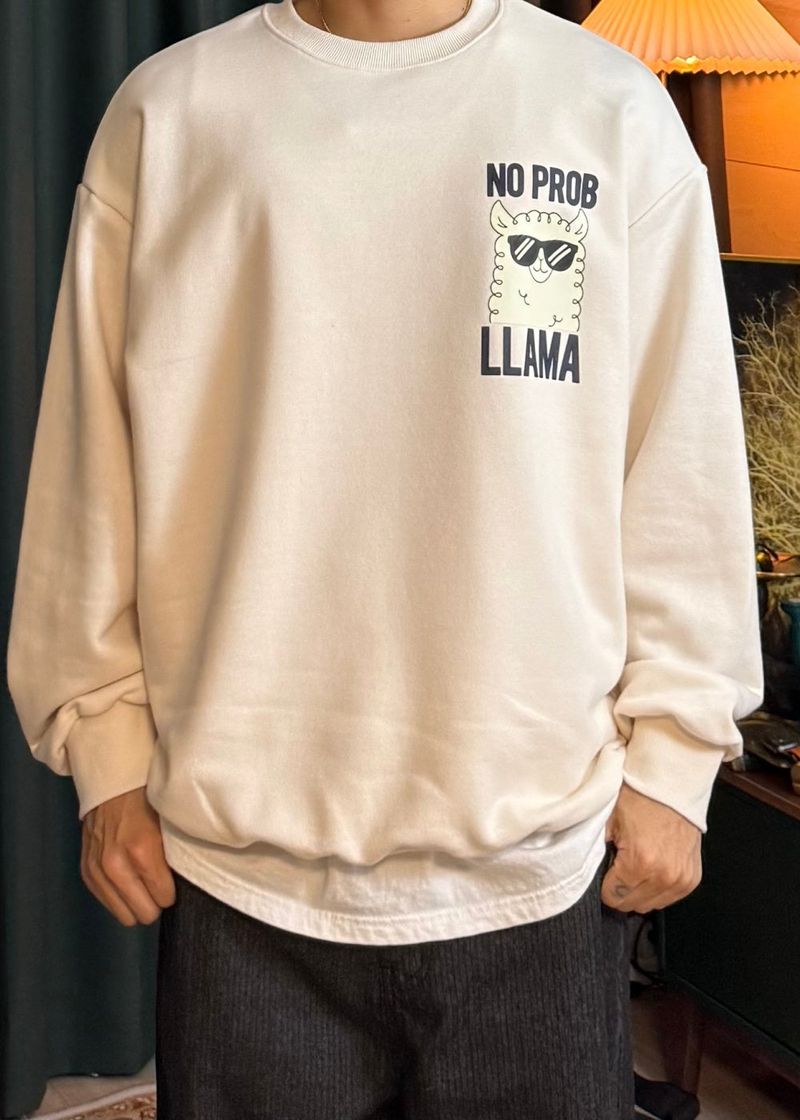 Couple Lama Character Sweatshirt 3COLOR