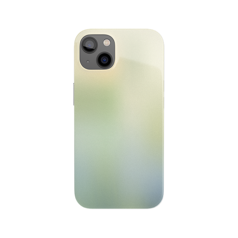 Fuzzy (glossy hard case)