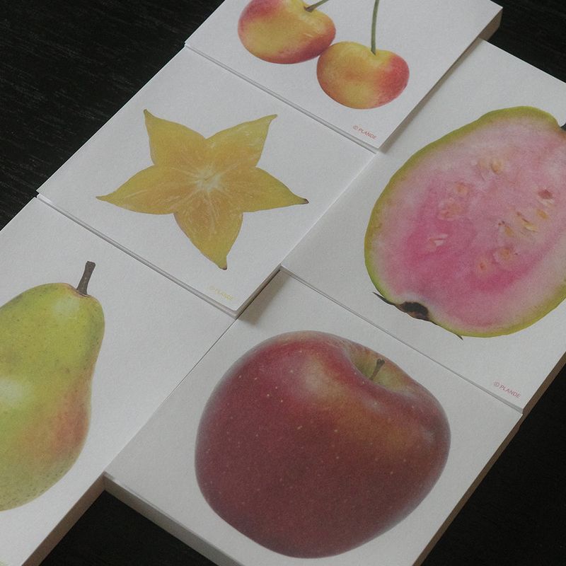 objet memo vol.6-fruit SET