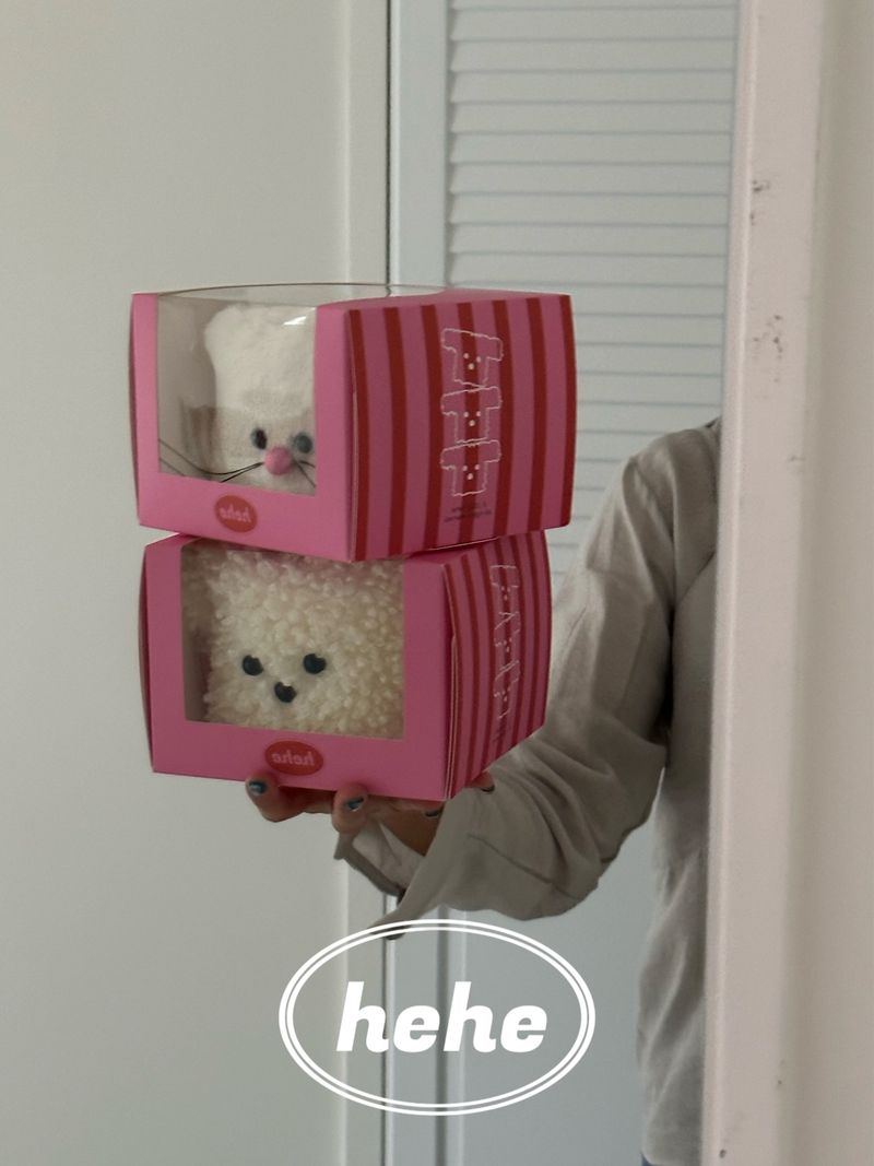 zizi Tissue Case