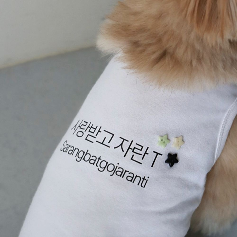 A well-loved T '사랑받고 자란 T'