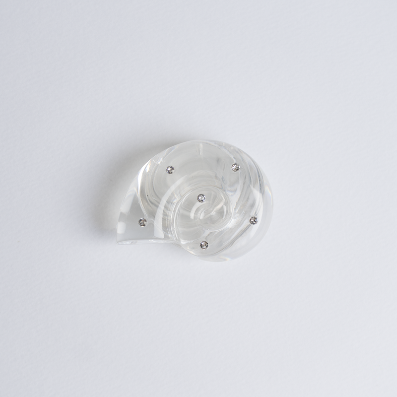 Ammonite Tok Standard_ Clear