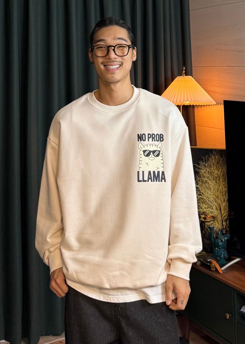 Couple Lama Character Sweatshirt 3COLOR