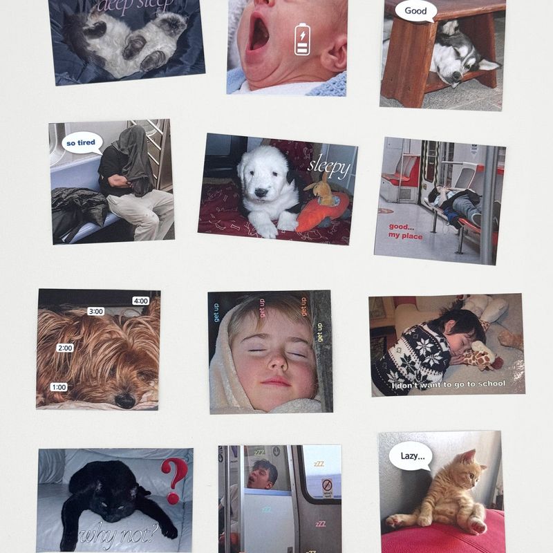 oab lazy pack / scrap sticker set