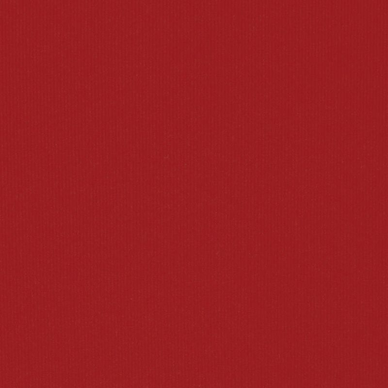 リュクスマイクロバンドゥビキニセット [rich red]