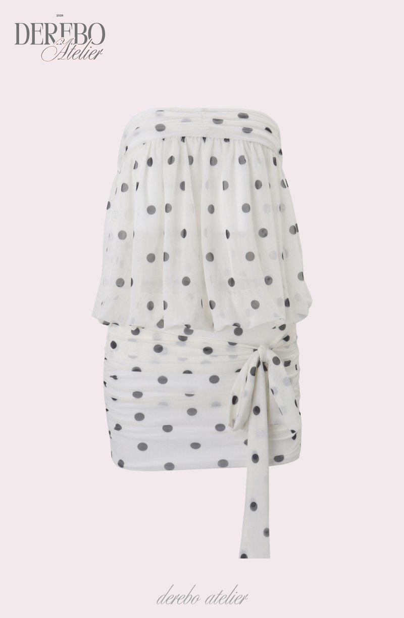 Fancy Dot Tube Top Chiffon Dress