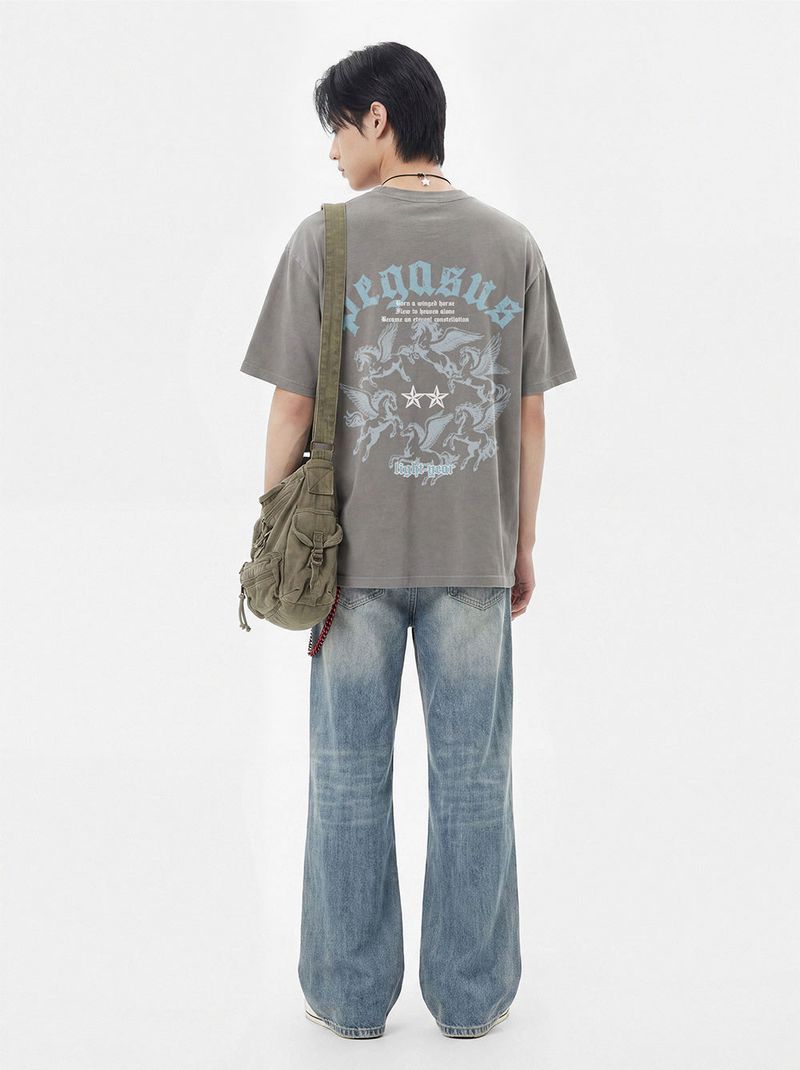 pegasus pigment-dyed short-sleeve t-shirt (3color)