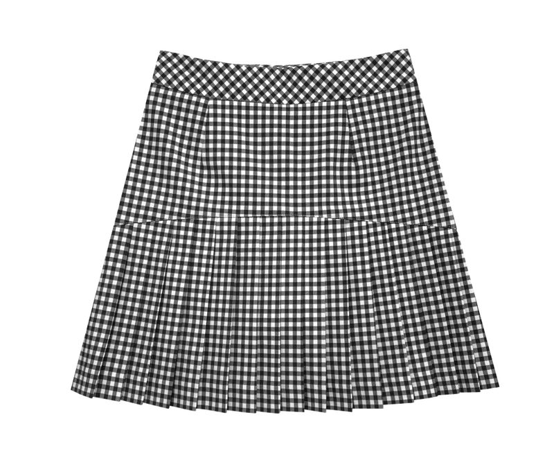 Check pleated skirt