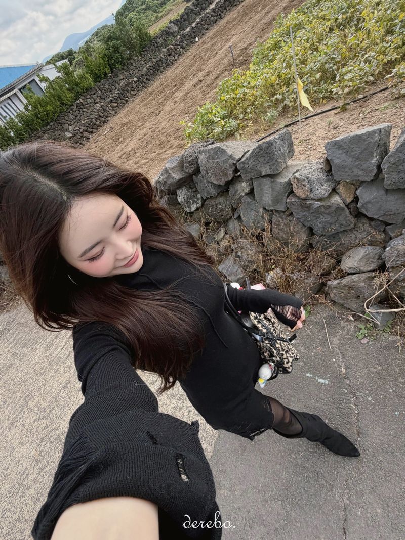lip-mood black half-turtleneck dress