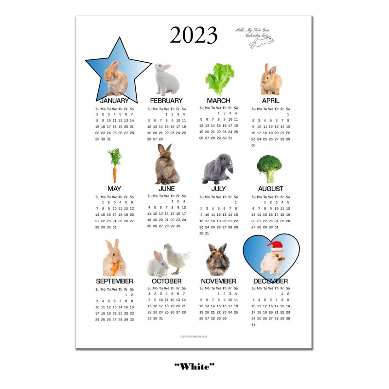 2023 RABBIT CALENDAR POSTER