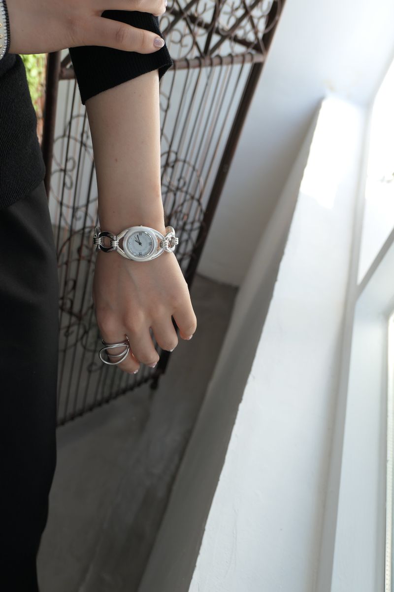 HolLight Watch