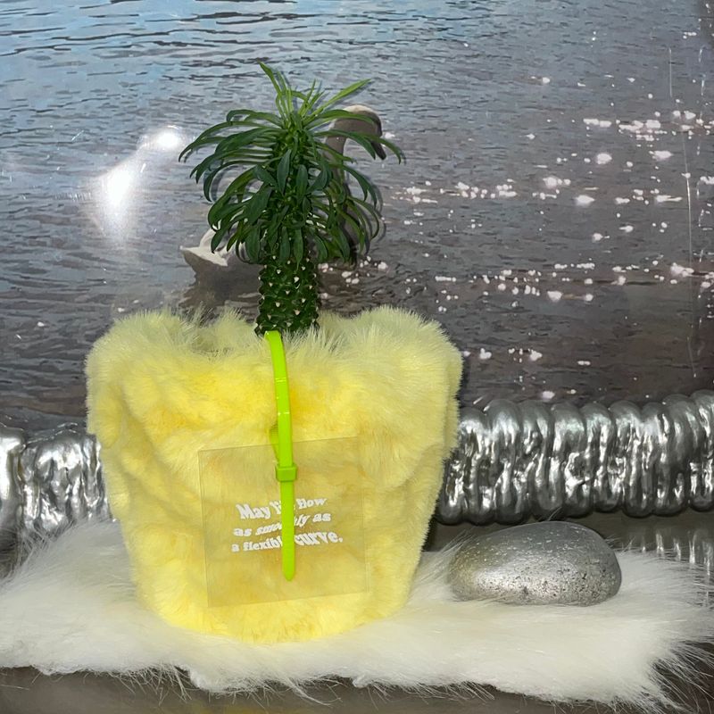 FLUFFY POT (M