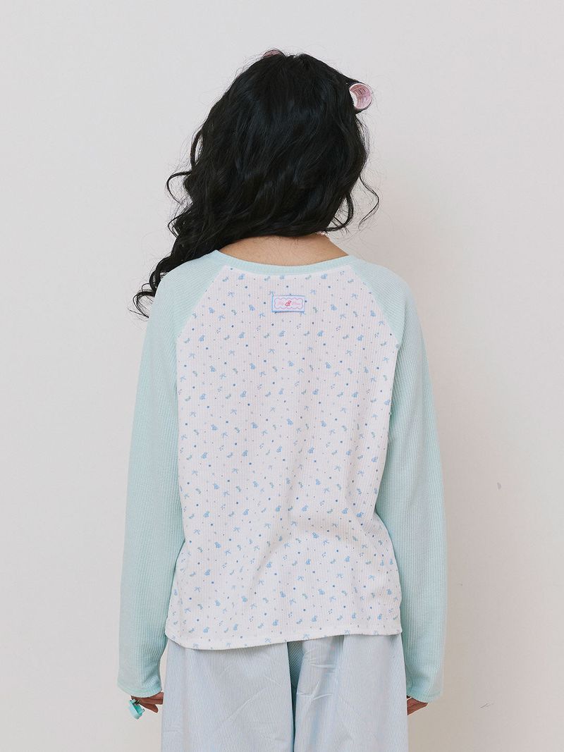 Jellambie Raglan tshirt | long sleeves with our original print