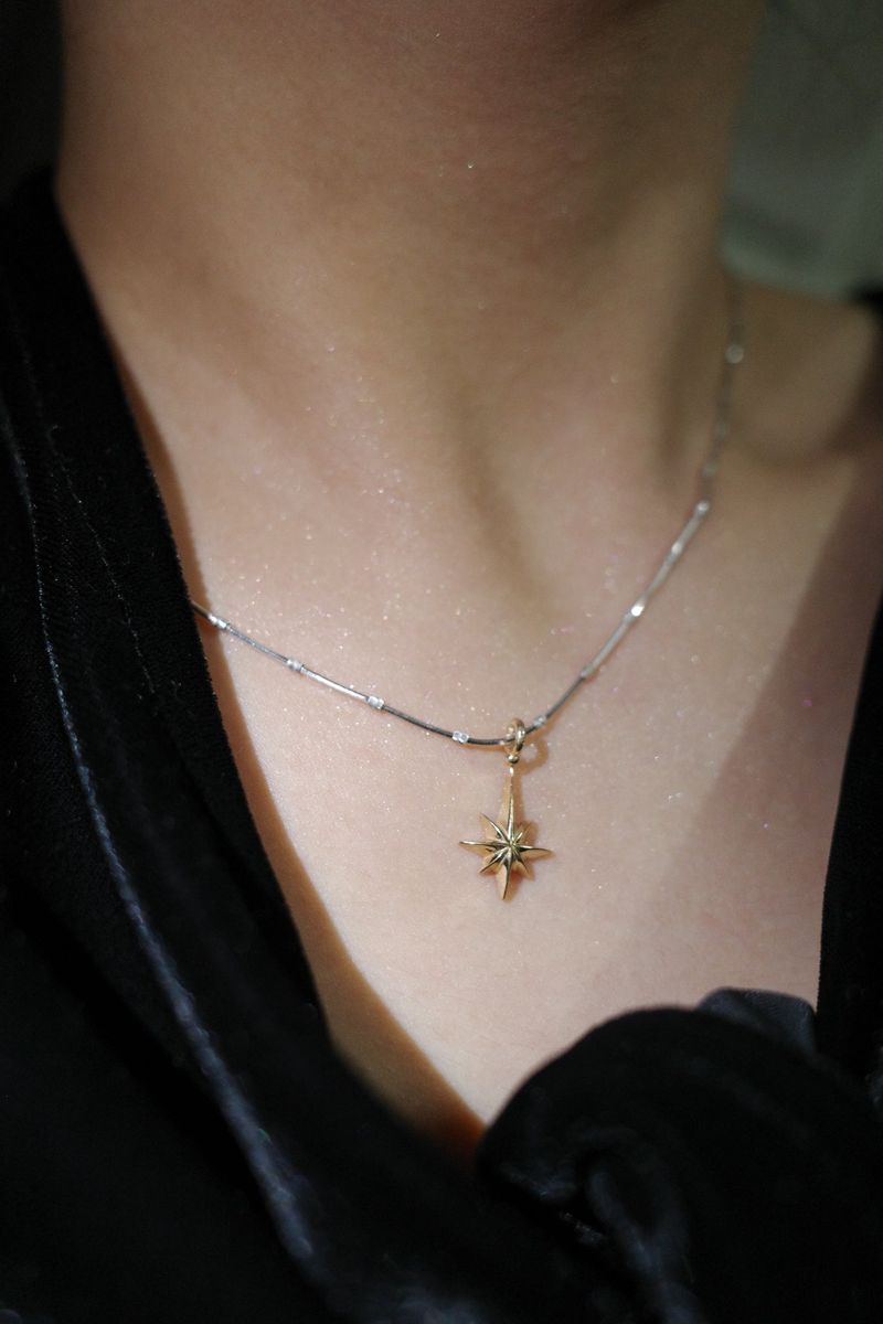 Polaris Necklace - Combi