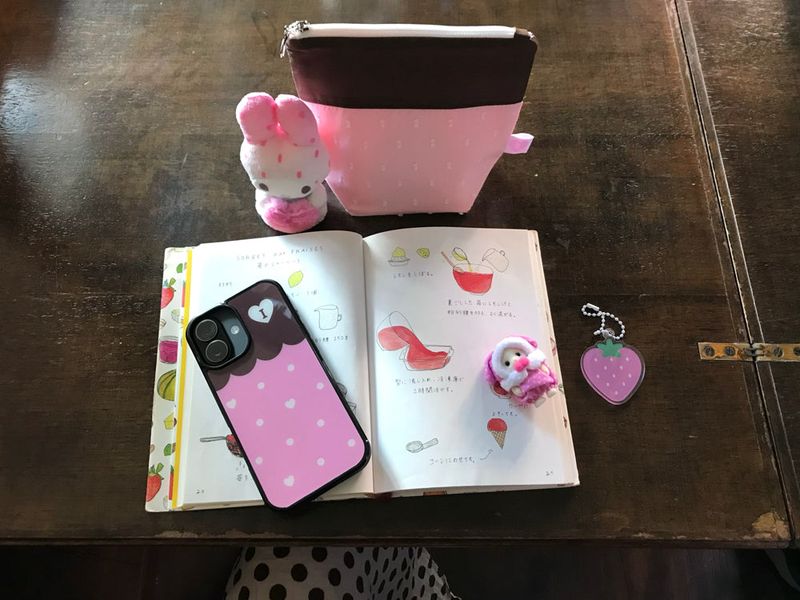 choco love berry pouch / 2 colors