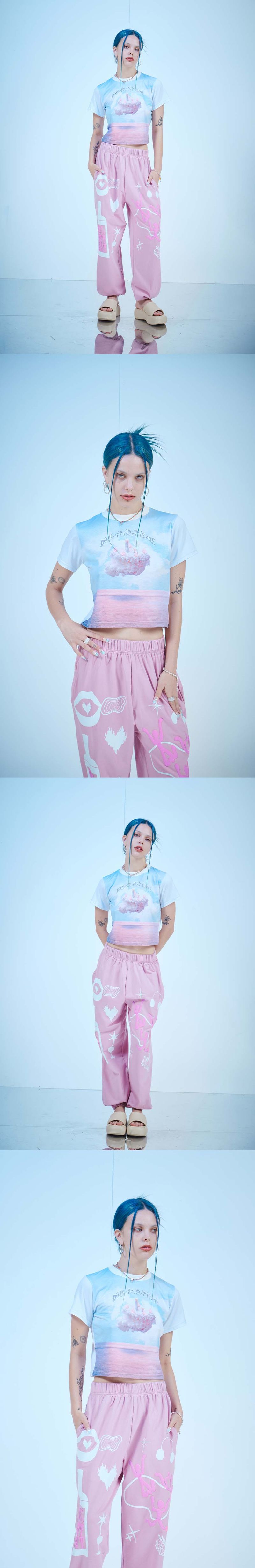 PINK BIRTHDCAKE CROP T-SHIRTS(PN)