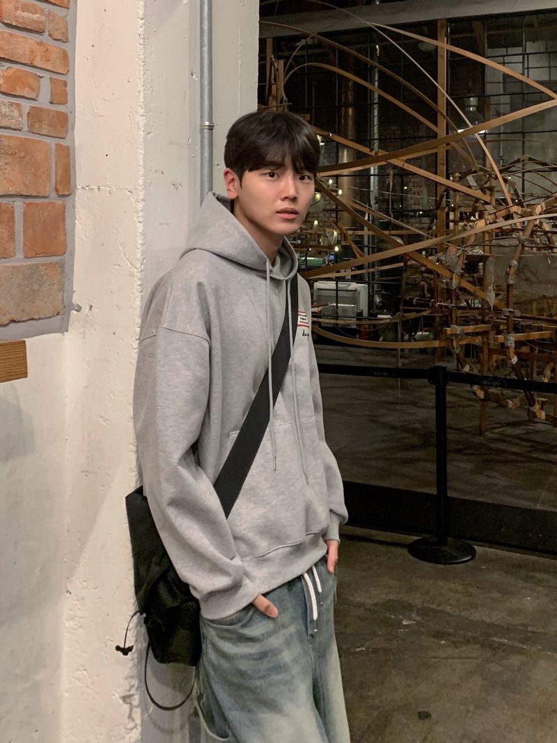 Dale patch embroidered hoodie