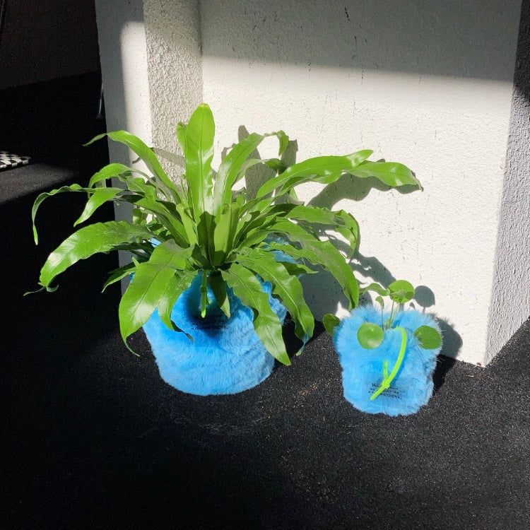 FLUFFY POT (S