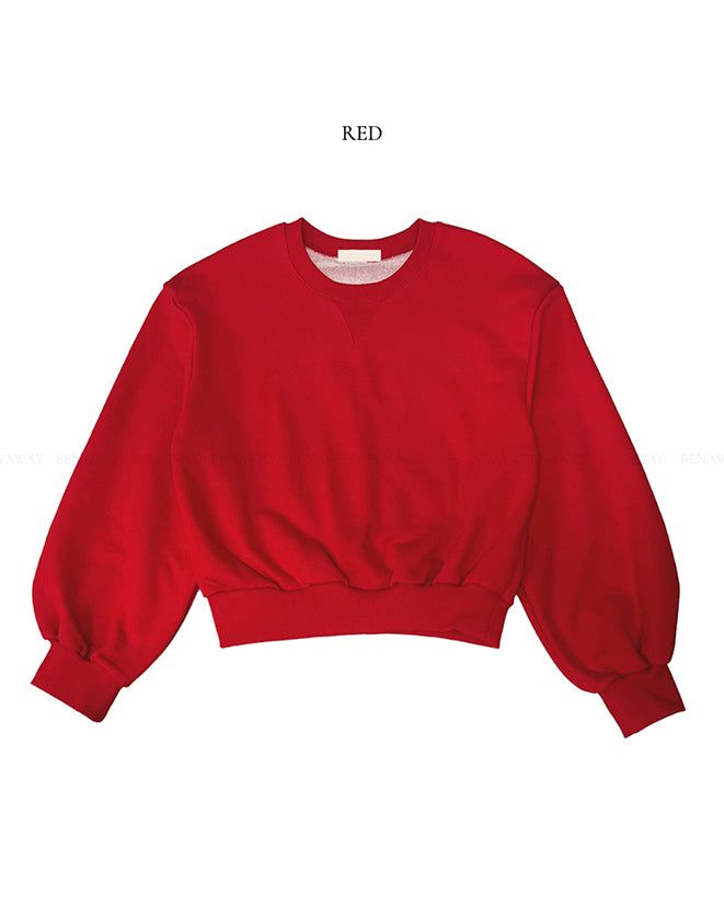 Burnt Overfit Balloon Crop Sweatshirts 4C